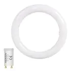 Noxion LED Tube T9 Avant Circular (EM/Direct) 20W 2200lm - 840 Cool White | 30cm - Replaces 32W